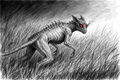 Chupacabra